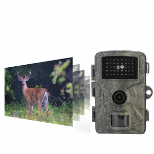 Hunting Camera Camouflage